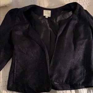 Black shimmery coat.